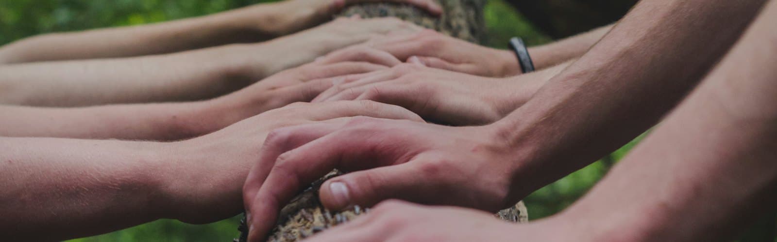 Varias manos juntas sobre el tronco de un árbol